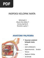 01 Inspeksi Kelopak Mata, Inspeksi Kornea, Inspeksi Kornea Dengan Fluorescein, Tes Sensitivitas Kornea