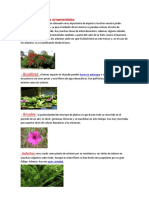 Tipos de plantas ornamentales.docx