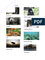 10 animales en peligro de extinción.docx