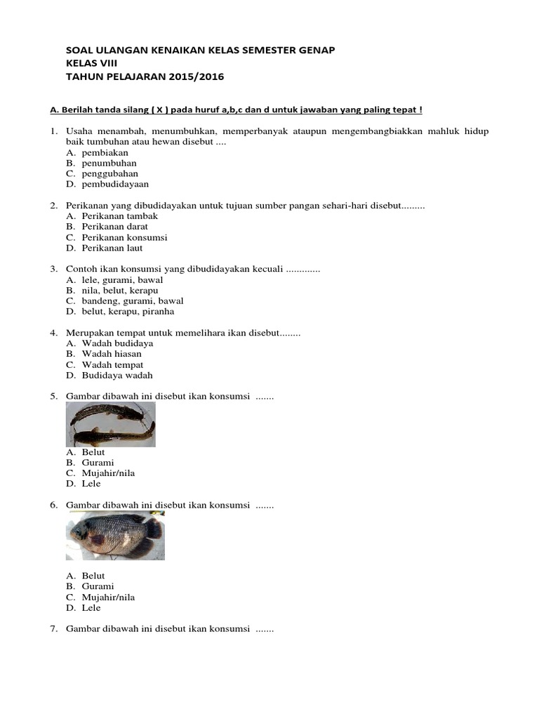 Contoh Soal Dan Jawaban Tentang Budidaya Ikan Lele