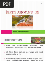 Download Birds Around Us by dishagupta1122 SN37239340 doc pdf