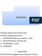 11.protozoa 2013
