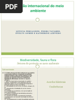 Biodiversidade, Fauna e Flora (Esquema)