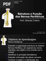 Nervo Sper if Éric Ose Lex Os