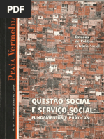 Questão social 
