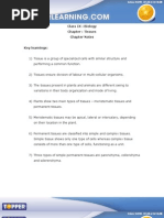 Download Tissues Chapter Notes by Gagan Deep SN37240056 doc pdf