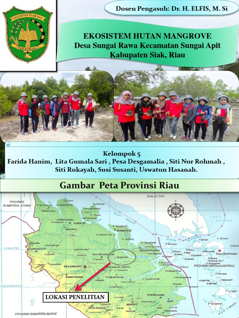 Contoh Ekosistem Rawa Bakau - Simak Gambar Berikut