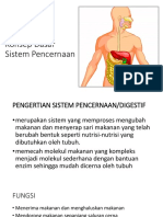 Pert 2 Review Sistem Digestif