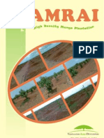 Amrai Pamplet