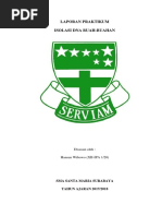 Laporan Praktikum Isolasi Dna Buah Kelas Xii