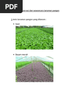 Download Hasil Observasi Dan Wawancara Tanaman Pangan by Susi Luik SN372424974 doc pdf