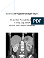 Injuries To Genitourinary Tract