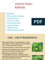 Tumbuhan Paku (Pteridophyta)