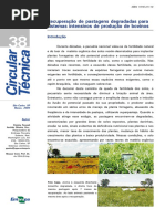 Pastagens degradadas Embrapa - Circular38.pdf