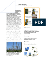 FICHA de DOENÇA Amarelecimento Letal