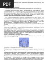 FL - Comportamento Do Consumidor - Beatriz Santos Samara