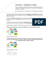 Model Organigrama Firma