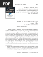 Como as Emoções Influenciam Nossa Vida