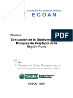 Diversidad Puno PDF