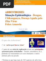 Arbo Sit Epid Plano jan 2018.ppt