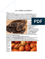 Que es el cacao y sus principales países productores