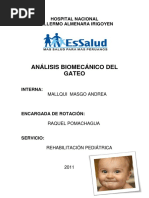 Análisis Biomecánico Del Gateo