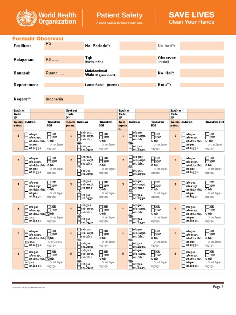 Form Audit HH Who | PDF