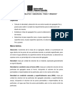 Guia de Laboratorio de Densidad Relativa y Absorción "Finos y Gruesos