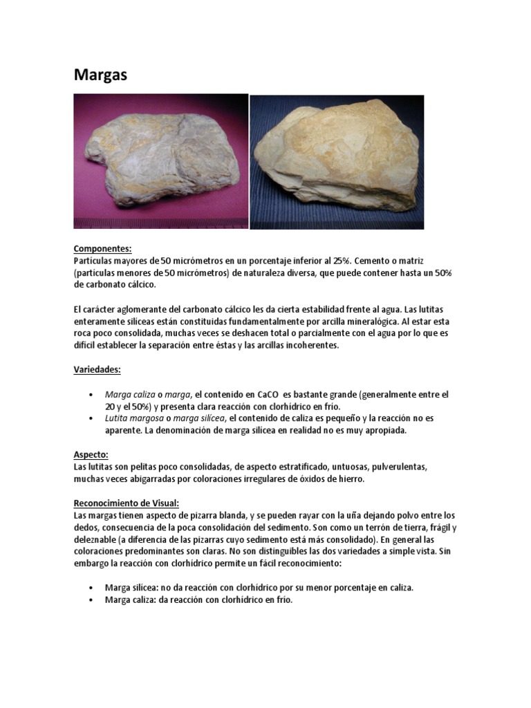 Margas y Antracitas | PDF | Antracita | Caliza