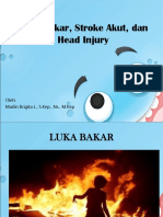 2 Luka Bakar, Stroke Dan Head Injury