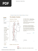 Bladder Meridian - Guardian of Peace