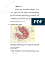 LP Gastritis