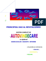 Principiul Dao Al Revitalizarii PDF