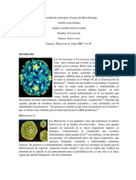 14 Picornavirus Osorio