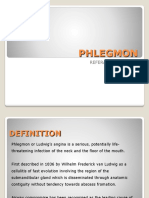 Phlegmon PPT Fix