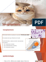 Toxoplasmosis en El Embarazo