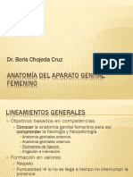 Clase 1 - Anatomía Del Aparato Genital Femenino