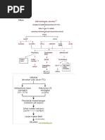 Patofisiologi Kejang Demam