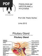fisiologia hipofisaria