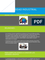 Seguridad Industrial - Alison Tandazo