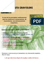 BREVE RESEÑA HOMEOPATICA SOBRE RUTA GRAVEOLENS