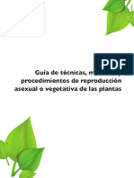 Guía-de-técnicas-métodos-y-procedimientos-de-reproducción-asexual-o-vegetativa-de-las-plantas.pdf