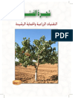 شجرة الفستق - التقنيات الزراعية والحماية الرشيدة