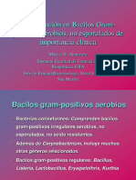 Bacilos Gram Positivos