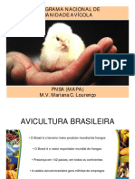 2 - PNSA.pdf
