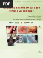 Slides a Epidemia Da Sífilis Em SC o Que Você Tem a Ver Com Isso