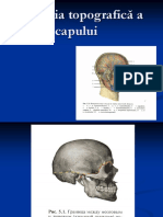 Anatomia Topografica A Capului