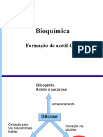 2 Piruvato Acetil PDF