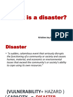 What Is A Disaster?: Kristine Joy Osillos-Cortes