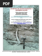 Apuntes Estratigrafia Sedimentacion Emnc 1 2017